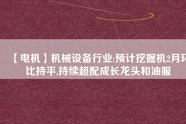 【電機】機械設(shè)備行業(yè):預(yù)計挖掘機2月環(huán)比持平,持續(xù)超配成長龍頭和油服
          