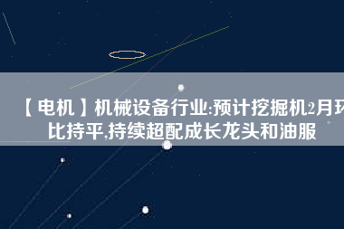 【電機】機械設(shè)備行業(yè):預(yù)計挖掘機2月環(huán)比持平,持續(xù)超配成長龍頭和油服
          