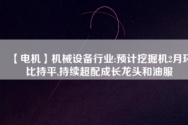 【電機】機械設(shè)備行業(yè):預(yù)計挖掘機2月環(huán)比持平,持續(xù)超配成長龍頭和油服
          